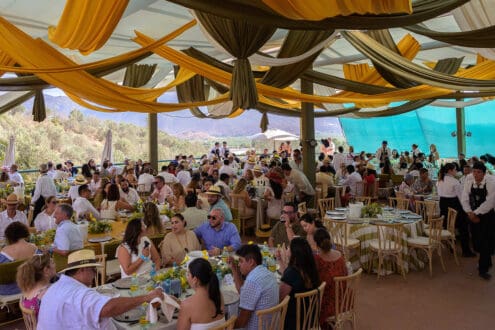 L.A. Cetto lanza una línea de vinos con uvas orgánicas. ¡Conócela!