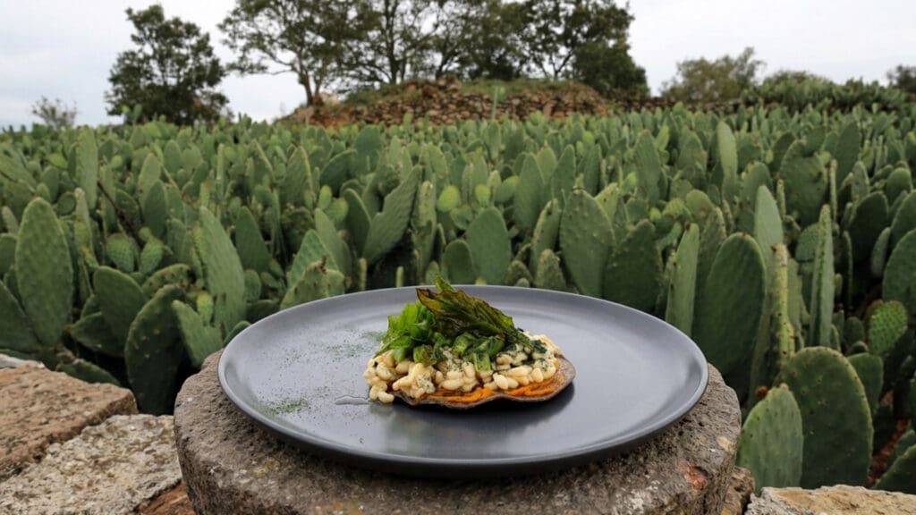 Ruta de la Milpa cumple 14 años: así fue la celebración junto al chef Pepe Salinas