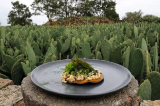 Ruta de la Milpa cumple 14 años: así fue la celebración junto al chef Pepe Salinas