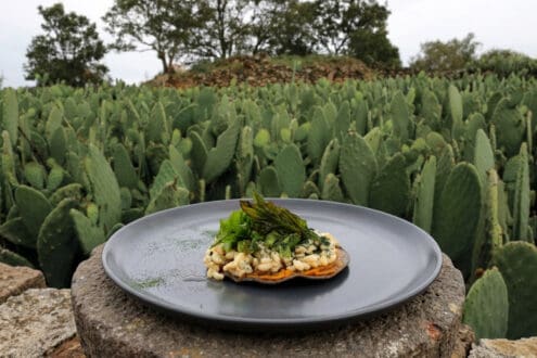 Ruta de la Milpa cumple 14 años: así fue la celebración junto al chef Pepe Salinas