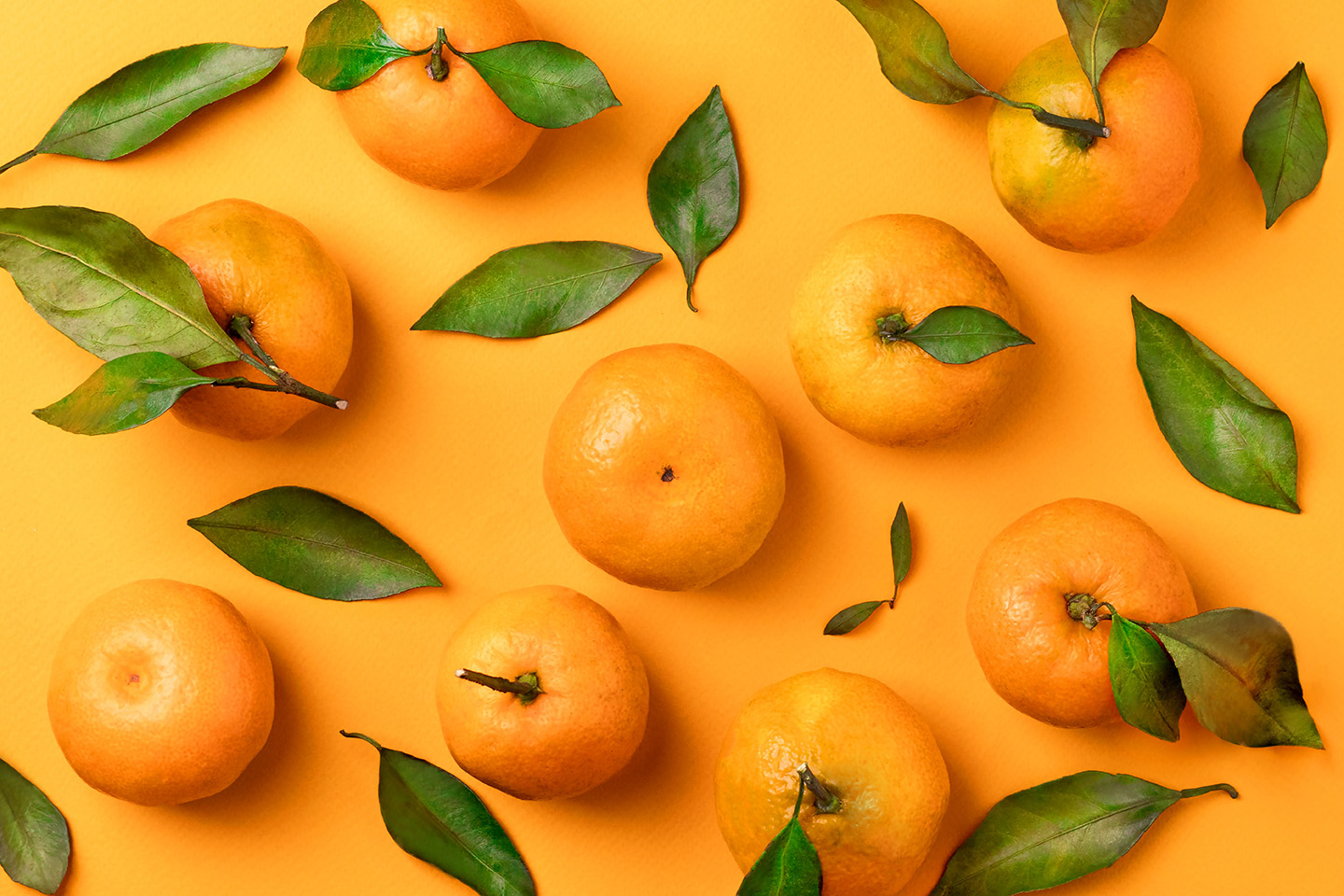 10 sabores para disfrutar esta estación.