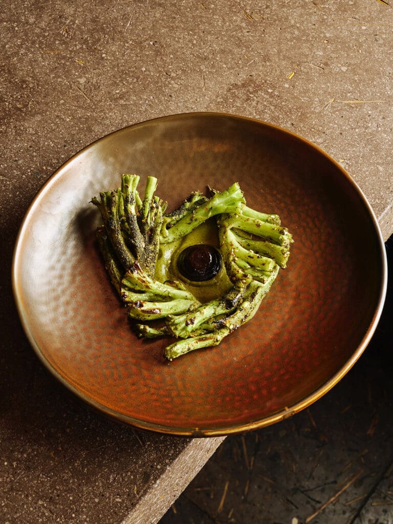 Producción agrícola, conservación y gastronomía.