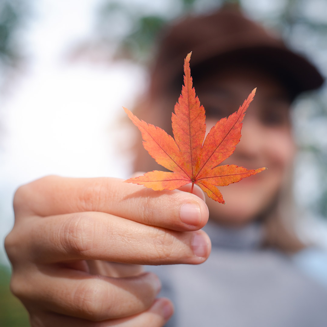 equinoccio_otoño_hoja
