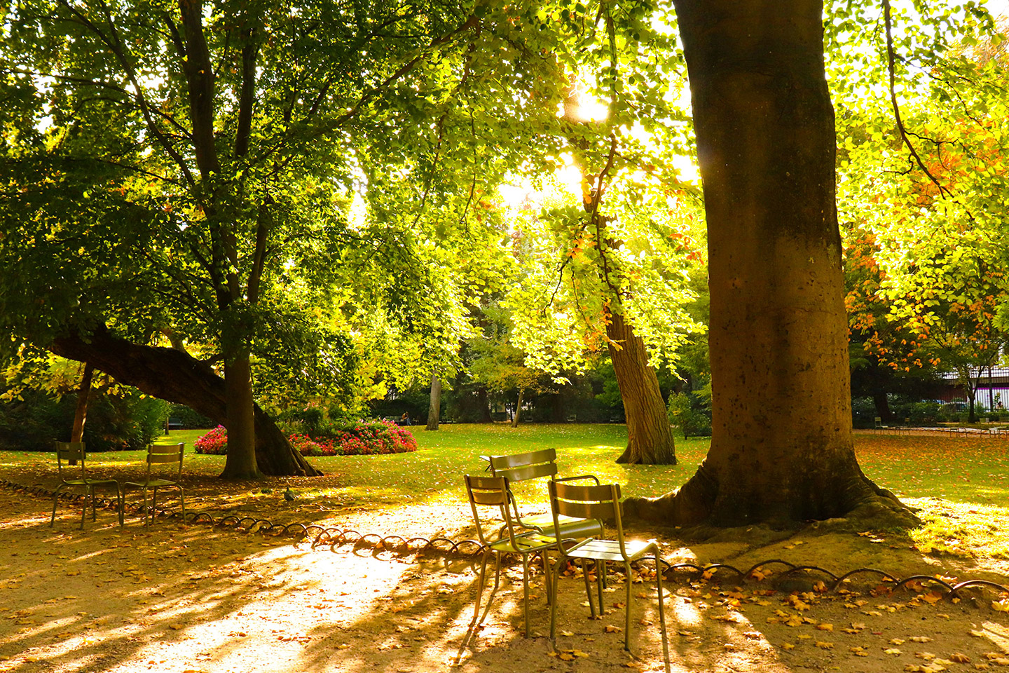 equinoccio_otoño_tarde