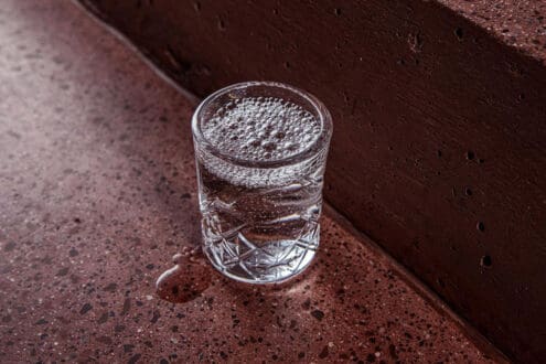 Destilados mexicanos: dónde probar Sotol, Bacanora, Raicilla y Pox en CDMX
