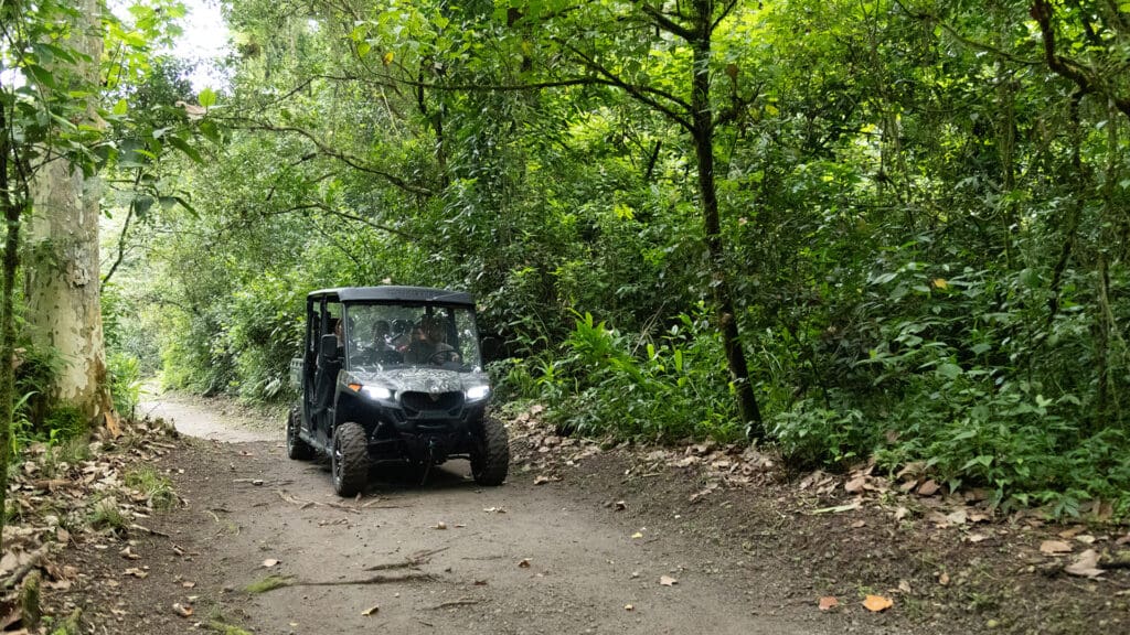 Road trip por Veracruz: un viaje del mar a la montaña