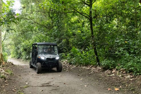 Road trip por Veracruz: un viaje del mar a la montaña
