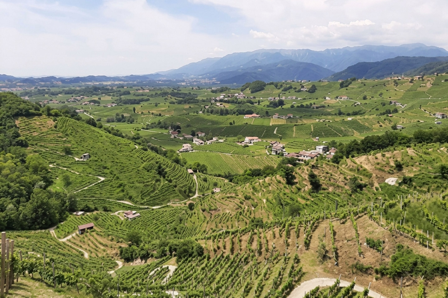 consorzio italiano