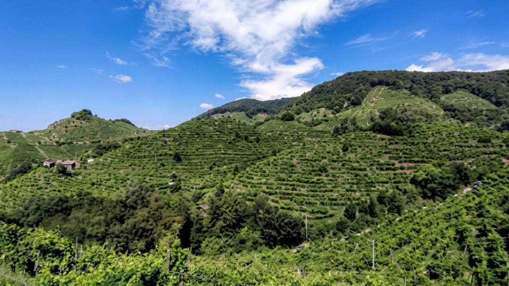 Consorzio Eden: tecnología y sustentabilidad en el vino italiano