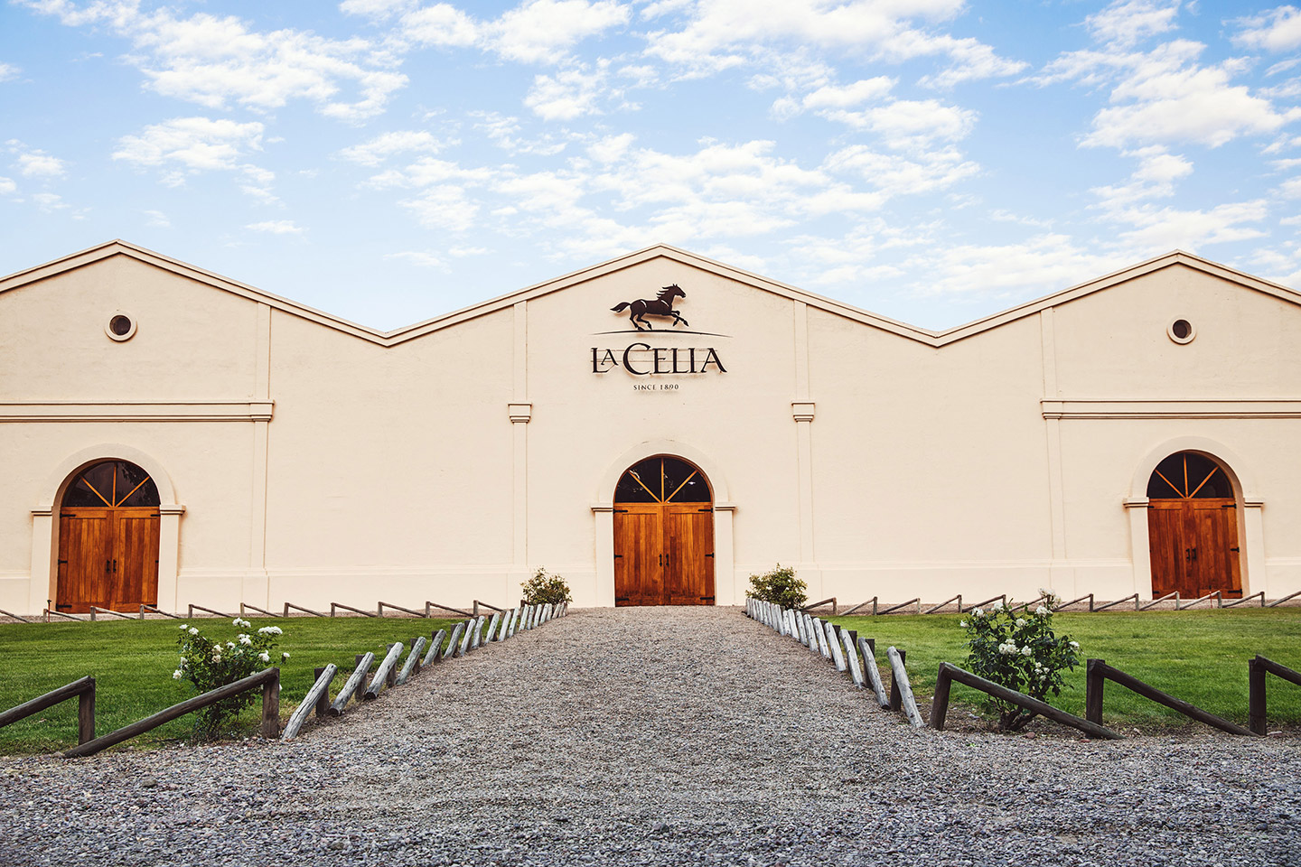 Andrea_Ferreira_vinos_La_Celia_1 Wine Star Awards 2026.