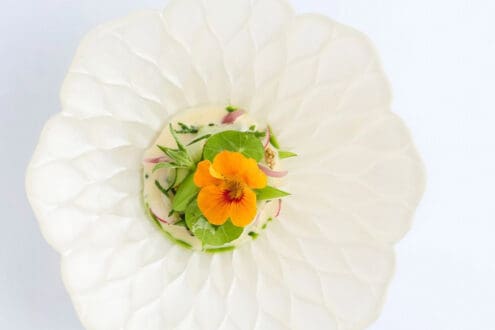Restaurantes reconocidos en los Best Vegetables Restaurants 2026: ¡uno es mexicano!