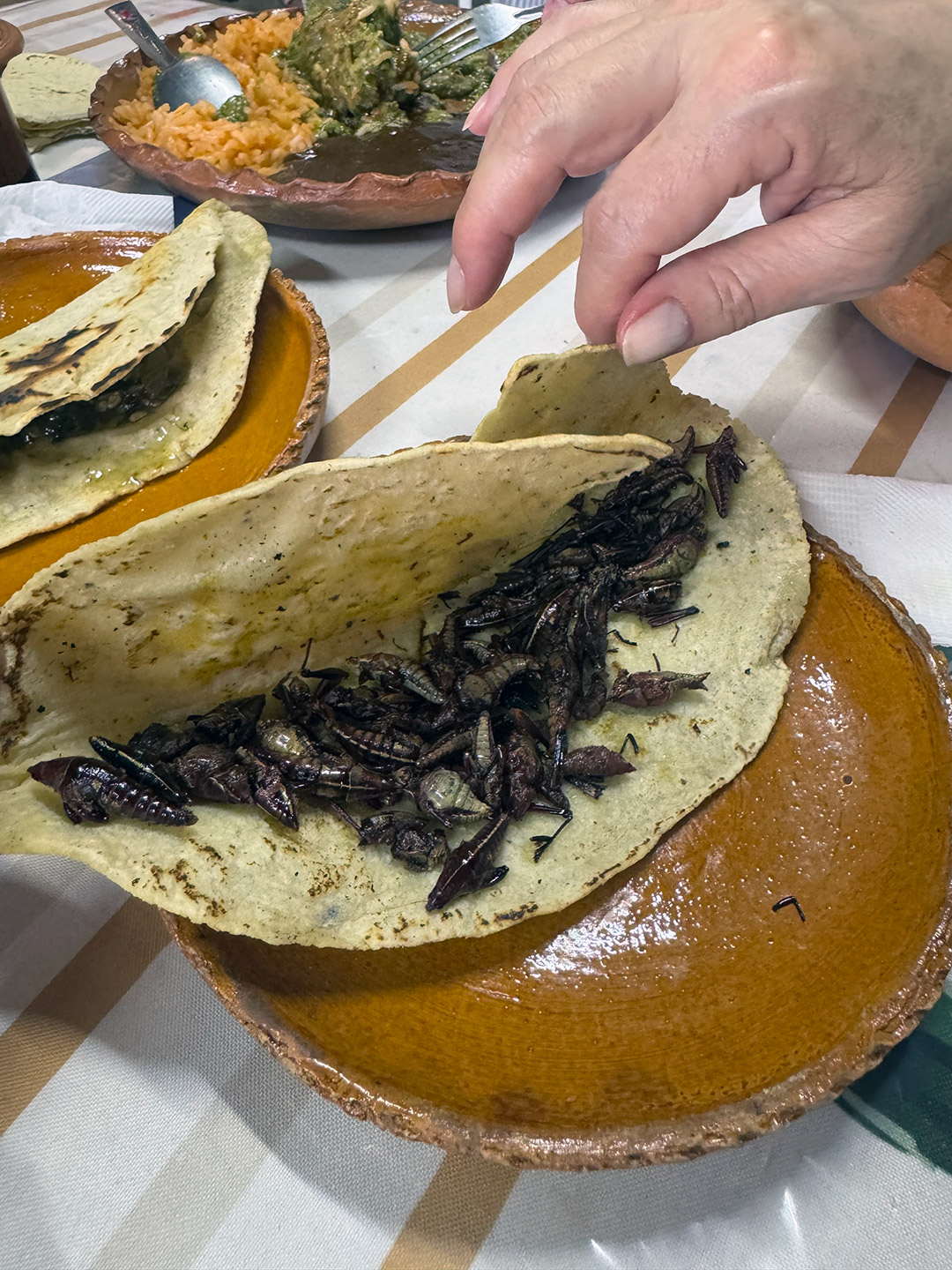 Círculos_de_Sabor_3