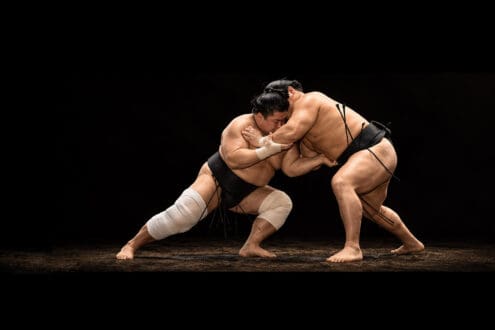 SUMO CDMX: 3 cosas que debes saber sobre su regreso a México