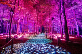 Qué hacer en CDMX: los mejores planes y eventos de esta semana